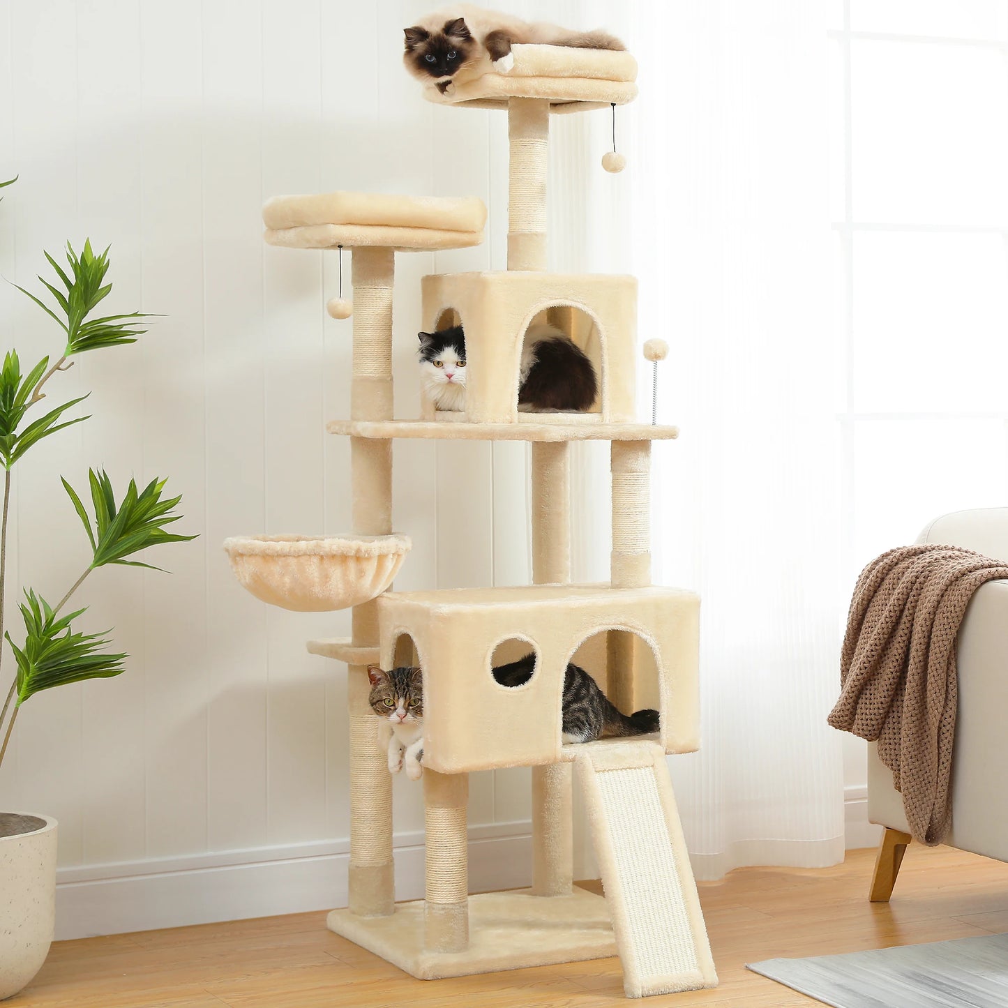 Cat Tree