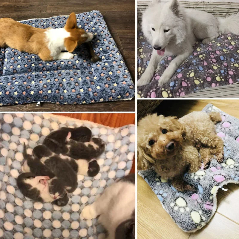 Pet Blanket Mat